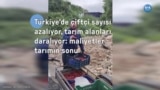 Türkiye’de maliyetler tarımın sonunu mu getiriyor?