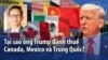 Tại sao ông Trump đánh thuế Canada, Mexico và Trung Quốc?