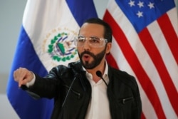 El Salvador Devlet Başkanı Nayib Bukele